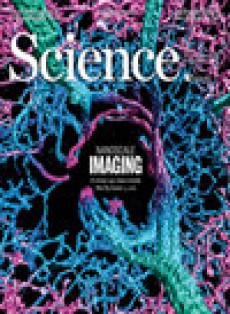 科學