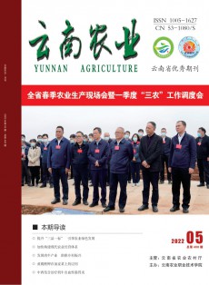 云南農(nóng)業(yè)