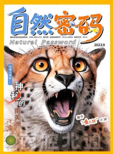 自然密碼