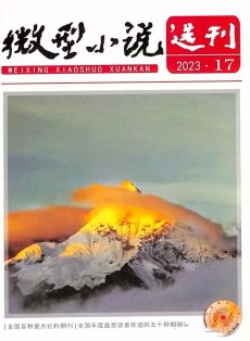 微型小說(shuō)選刊雜志