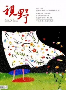 視野雜志