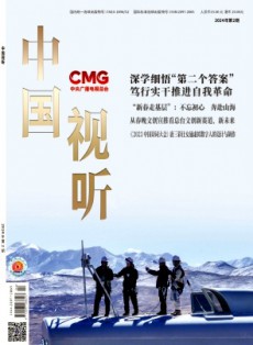 中國(guó)視聽